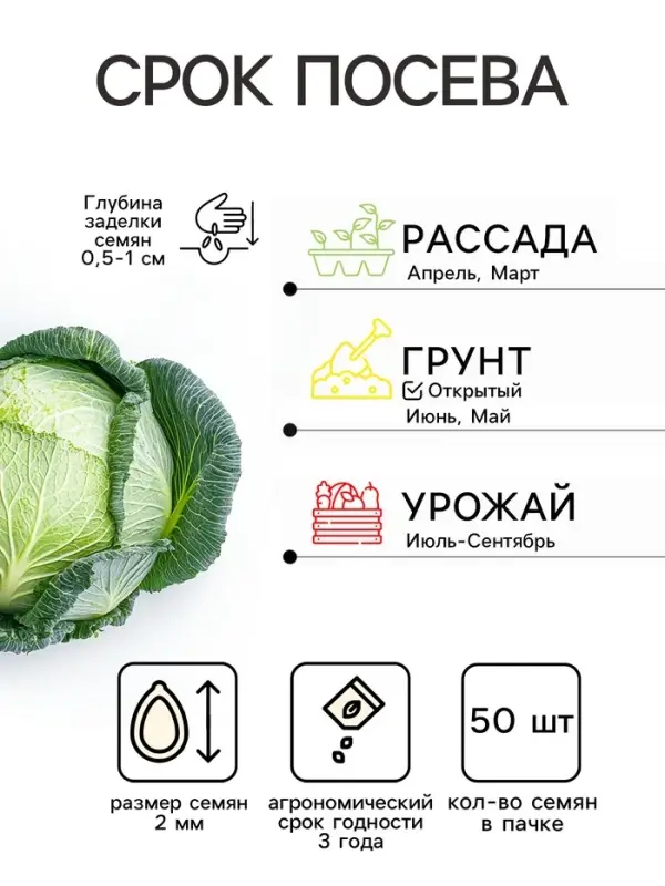 Семена Капуста пекинская &laquo;Ча-ча&raquo;, F1, 50 шт., &laquo;Русский огород&raquo;