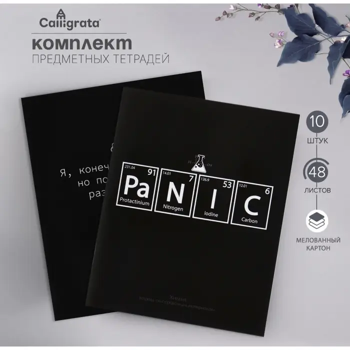 Тетради предметные &laquo;На чёрном&raquo;, 10 предметов, 48 листов, со справочным материалом, обложка из мелованного картона