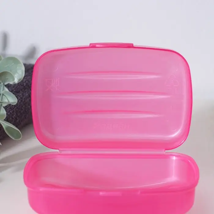 Мыльница с крышкой Радиан «Дорожная», пластик, 10×7×4.5 см, МИКС Мыльница с крышкой Радиан «Дорожная», пластик, 10×7×4.5 см, МИКС