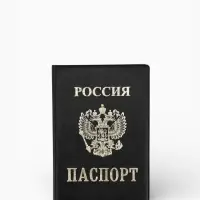 Обложка для паспорта из искусственной кожи, чёрная