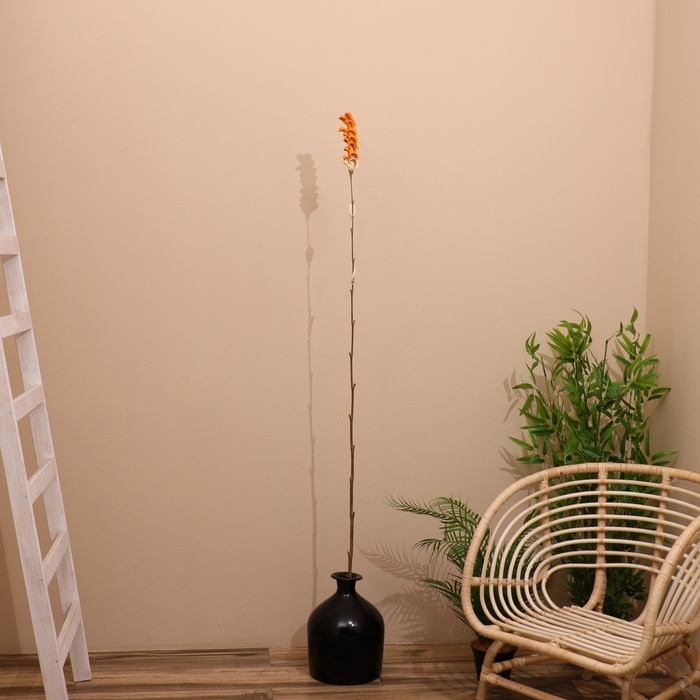 Сухоцвет на бамбуковом стебле 150 см оранжевый Сухоцвет на бамбуковом стебле 150 см оранжевый