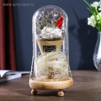 Ночник колба "Астра белая" LED 3ААА 10х10х21 см RISALUX