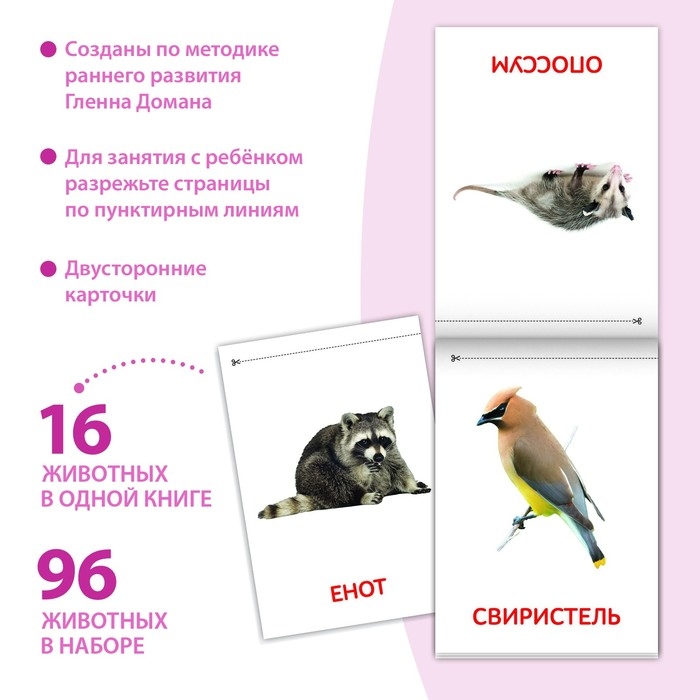 Книги набор «Карточки Домана. Животные материков», 6 шт. по 20 стр. Книги набор «Карточки Домана. Животные материков», 6 шт. по 20 стр.