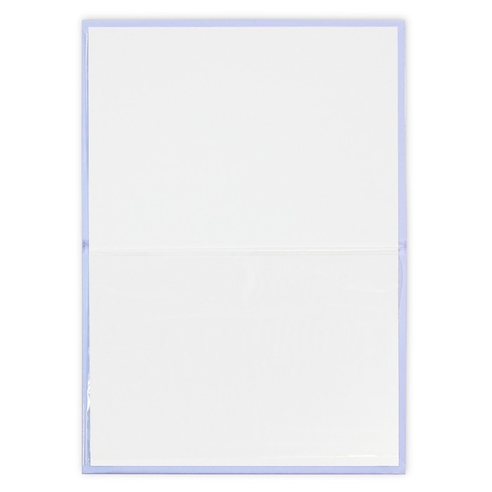 Папка для свидетельства о рождении «Наше чудо», зайки, А5 Папка для свидетельства о рождении «Наше чудо», зайки, А5