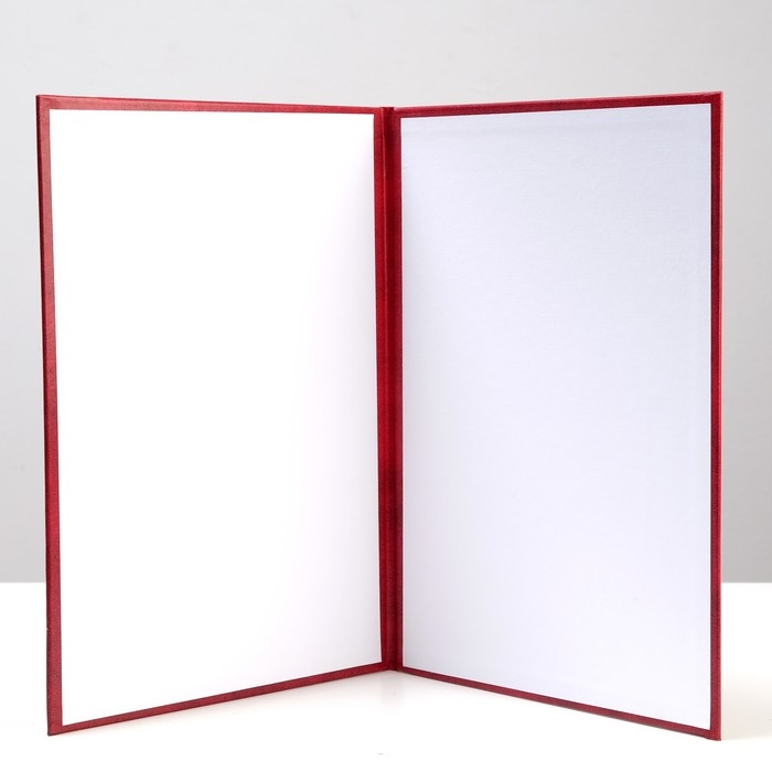 Папка адресная  Папка адресная "На подпись" бумвинил, бордовая с разводами, А4