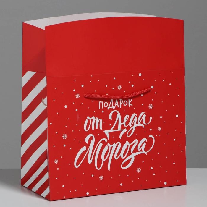 Пакет-коробка «Подарок», 23 х 18 х 11 см Пакет-коробка «Подарок», 23 х 18 х 11 см