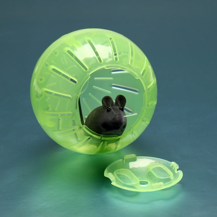 Шар для грызунов 10 см, зелёный Шар для грызунов 10 см, зелёный