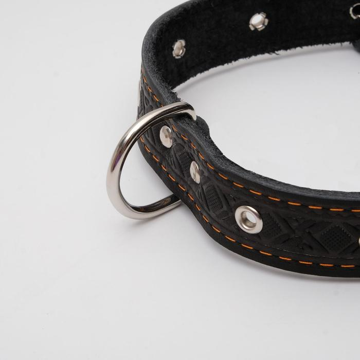 Ошейник кожаный тисненый однослойный, безразмерный, 3 х 60 см, ОШ 42-55 см, микс цветов Ошейник кожаный тисненый однослойный, безразмерный, 3 х 60 см, ОШ 42-55 см, микс цветов