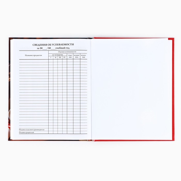 Дневник школьный для 1-11 класса, в твердой обложке, 40 л. «Пушистик» Дневник школьный для 1-11 класса, в твердой обложке, 40 л. «Пушистик»