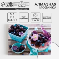 Алмазная мозаика круглыми стразами с частичным заполнением «Ягоды», 30 х 40 см. Набор для творчества