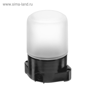 Светильник НББ 01-60-001 УХЛ1, E27, 60 Вт, 230 В, IP65, до +125°, черный
