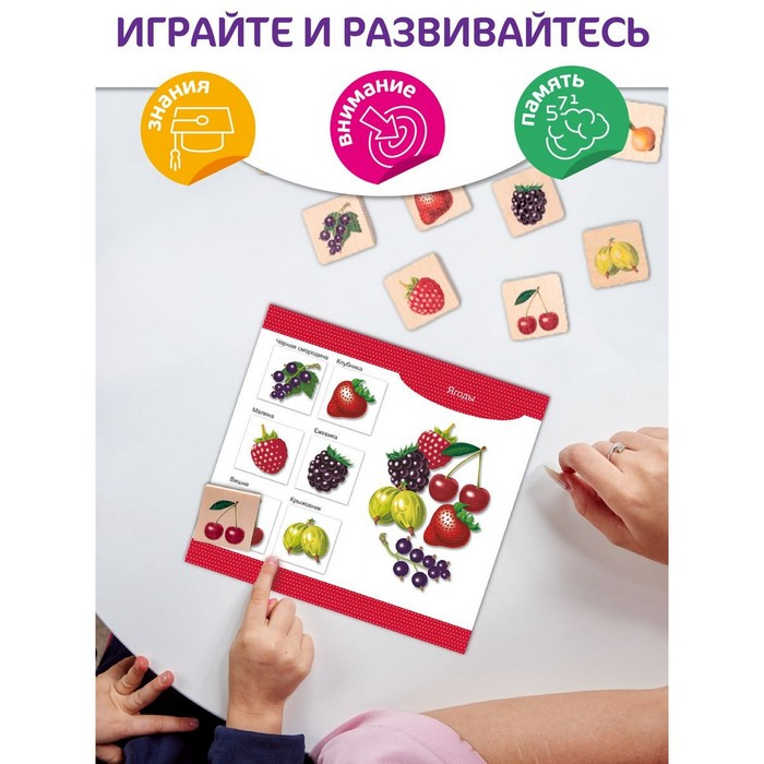 Лото деревянное «Овощи и фрукты»