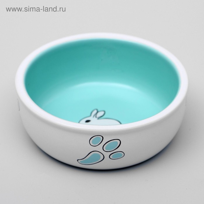 Миска керамическая для кроликов 200 мл  10 х 3,7 см, бело-зеленая Миска керамическая для кроликов 200 мл  10 х 3,7 см, бело-зеленая