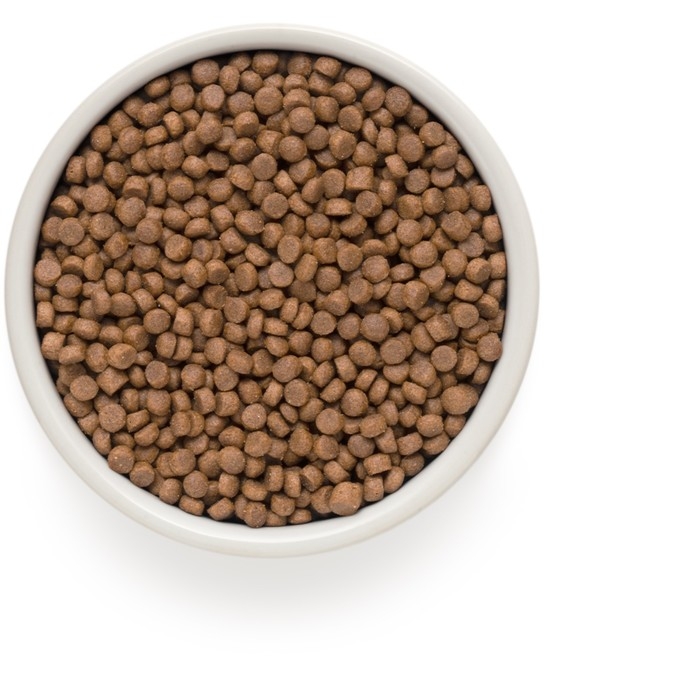 Сухой корм Grandorf для стерилизованных кошек, 4 мяса с пробиотиками, низкозерновой, 2 кг