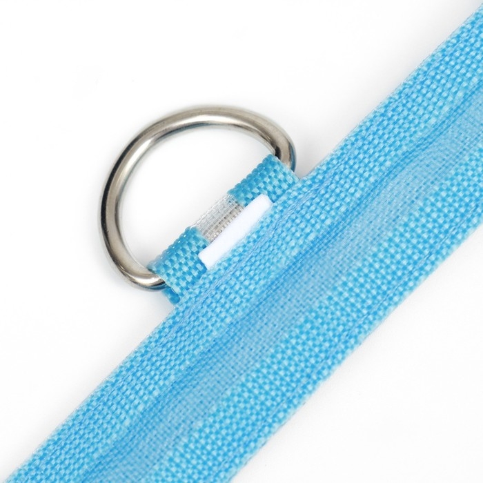 Ошейник с подсветкой, зарядка от USB, размер XL, ОШ 42-56 см, 3 режима, голубой Ошейник с подсветкой, зарядка от USB, размер XL, ОШ 42-56 см, 3 режима, голубой