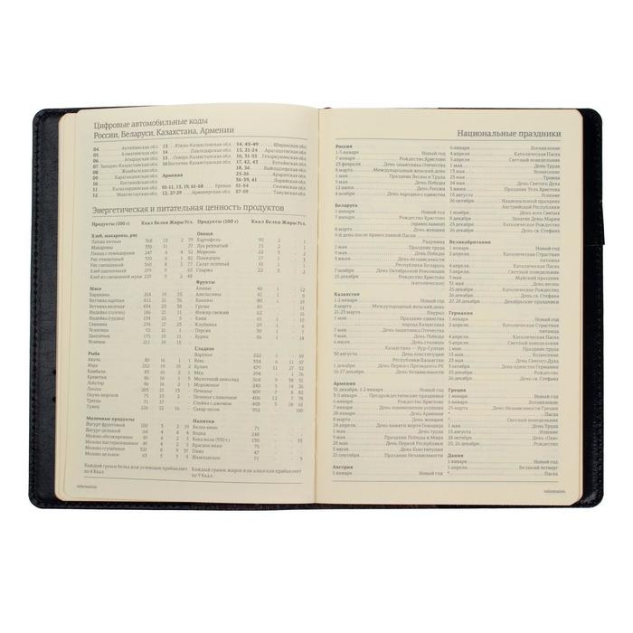 Ежедневник полудатированный А5, 208 листов Profy, рециклированная кожа, сменный блок, золотой срез, чёрный Ежедневник полудатированный А5, 208 листов Profy, рециклированная кожа, сменный блок, золотой срез, чёрный