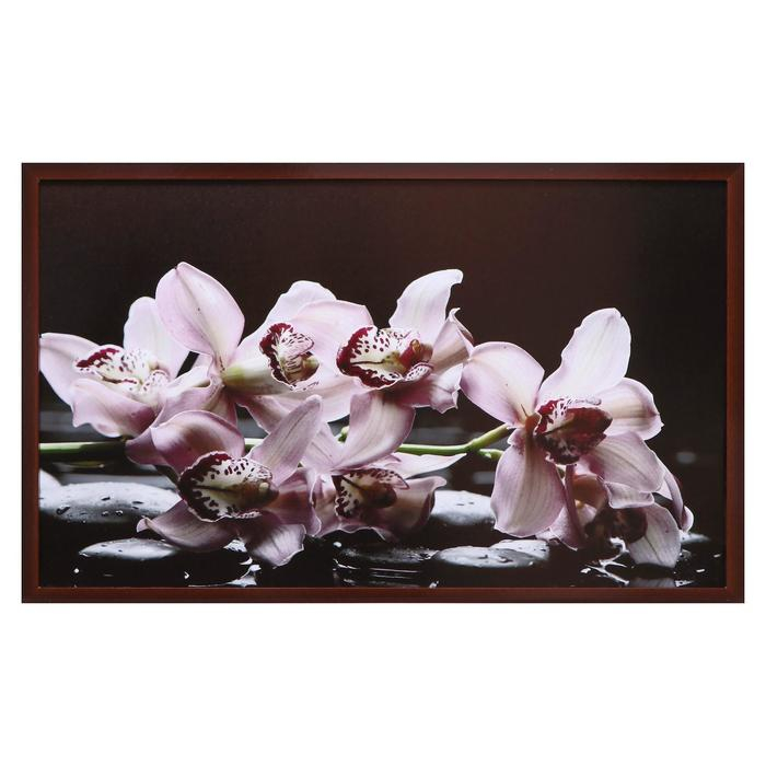 Картина  Картина "Цветы на камнях" 67х107 см рамка микс