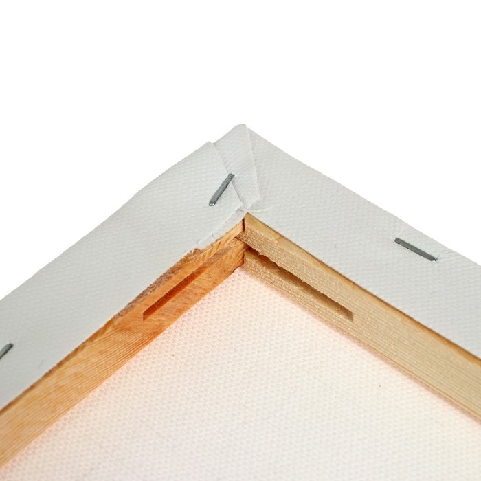 Холст на подрамнике, хлопок 100%, 1,6 х 50 х 70 см, акриловый грунт, мелкозернистый, 280 г/м² Холст на подрамнике, хлопок 100%, 1,6 х 50 х 70 см, акриловый грунт, мелкозернистый, 280 г/м²