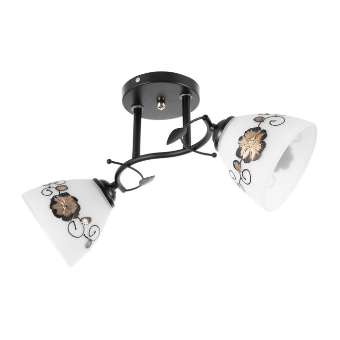 Люстра Люстра "Арья" 2хЕ27 40Вт черный 47х26 см