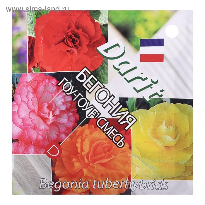 Семена цветов Бегония  Семена цветов Бегония "Гоу-гоу", 6 шт.