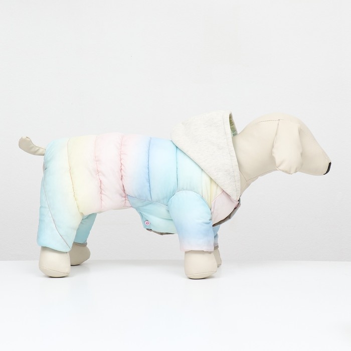 Комбинезон  Комбинезон "Для прогулки", размер 16 (ДС 36 см, ОГ 46 см, ОШ 35 см), пастельный