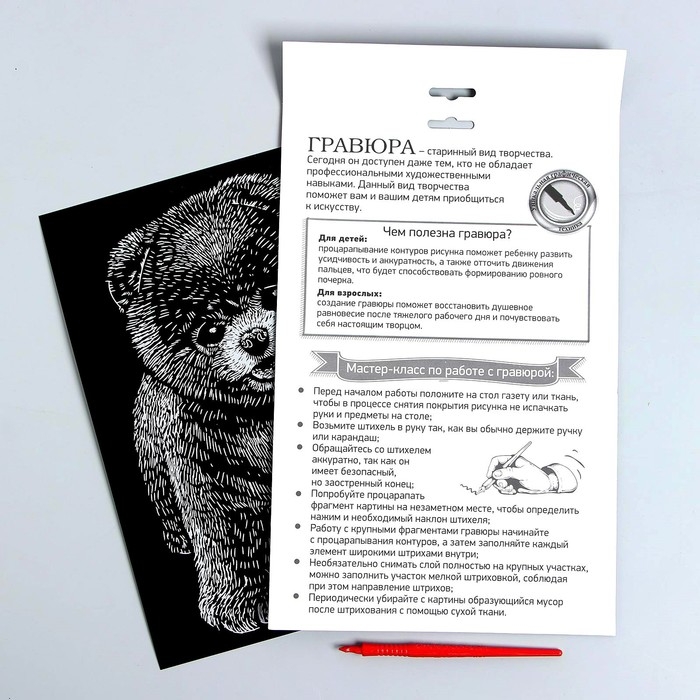 Гравюра на подложке «Шпиц» с металлическим эффектом «серебро» А4 Гравюра на подложке «Шпиц» с металлическим эффектом «серебро» А4