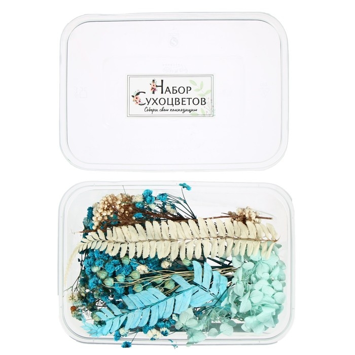 Набор для творчества «Набор сухоцветов», большой, голубой Набор для творчества «Набор сухоцветов», большой, голубой