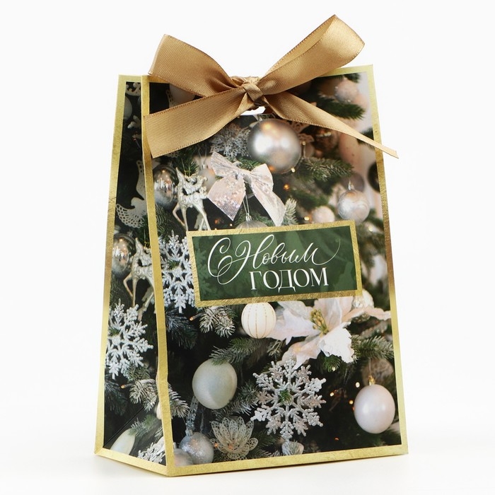 Пакет подарочный новогодний с лентой «Зима», 13 х 19 х 9 см Пакет подарочный новогодний с лентой «Зима», 13 х 19 х 9 см