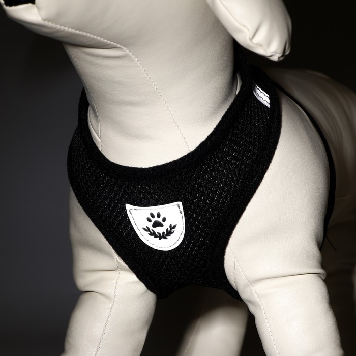 Комплект амуниции со светоотражающей нашивкой, S, ОШ 24 см, ОГ 28-33 см, чёрный Комплект амуниции со светоотражающей нашивкой, S, ОШ 24 см, ОГ 28-33 см, чёрный