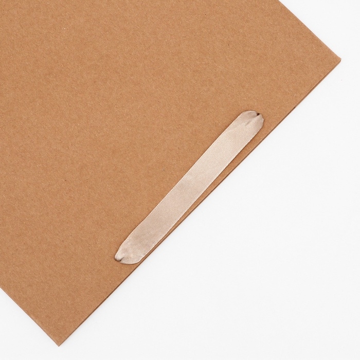 Пакет крафт без печати, 30 х 10 х 40 см 260 г/м2 Пакет крафт без печати, 30 х 10 х 40 см 260 г/м2