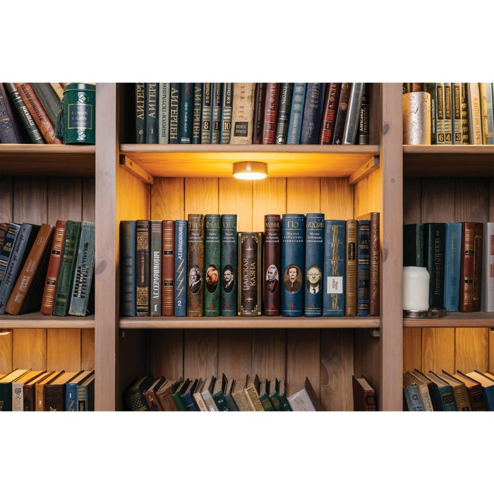 Сейф-книга  Сейф-книга "Царская казна", 5.7х13х18 см, ключевой замок