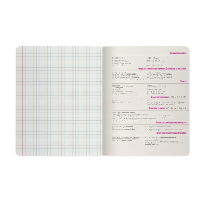 Тетрадь предметная "Зверобудни", 48 листов в клетку "Алгебра", обложка картон, ламинация SoftTouch