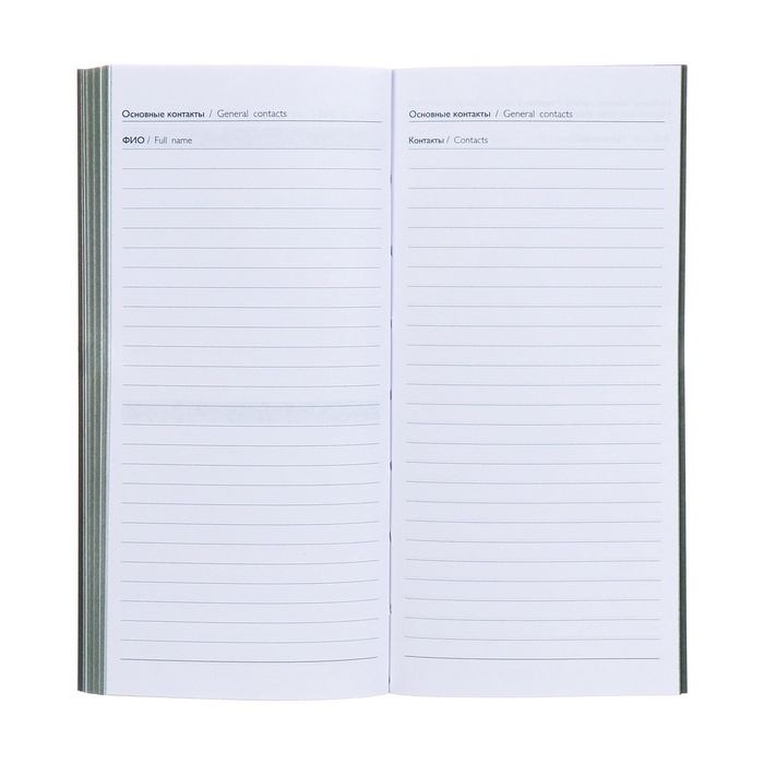 Еженедельник датированный 2025 года, 80х165 мм, 64 листа ESCALADA, мягкая обложка из искусственной кожи, блинтовое тиснение, блок 70 г/м², зелёный Еженедельник датированный 2025 года, 80х165 мм, 64 листа ESCALADA, мягкая обложка из искусственной кожи, блинтовое тиснение, блок 70 г/м², зелёный