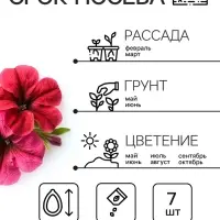 Семена цветов Петуния Суперкаскадная &laquo;Бургунди&raquo;, F1, 7 шт., &laquo;Семена Алтая&raquo;