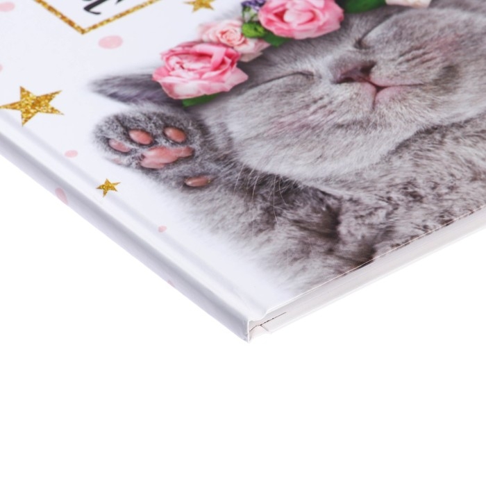 Дневник школьный для 1-11 классов, «Котенок с розами», твёрдая обложка 7БЦ, глянцевая ламинация, 40 листов