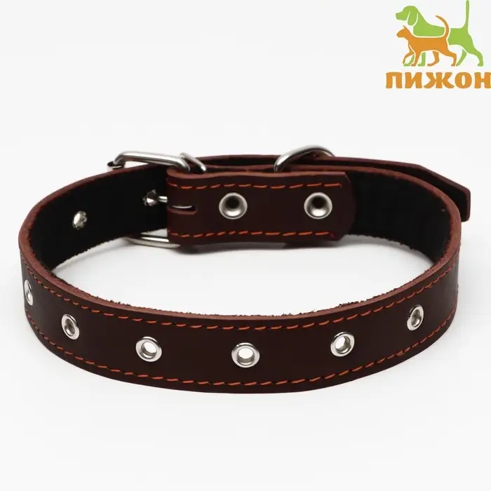Ошейник кожаный на синтепоне, безразмерный, 65&times;3 см, ОШ 22-55 см, коричневый