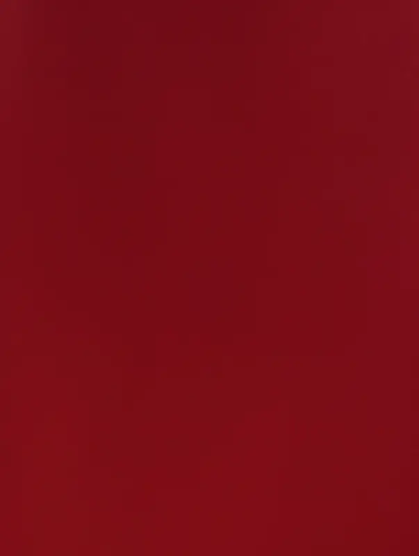 Пленка для цветов и букетов &laquo;Романтика&raquo;, винный, 57&times;57 см