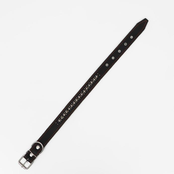 Ошейник комбинированный кожа/брезент Ошейник комбинированный кожа/брезент "Ёж", 70 х 3,5 см, ОШ 45-60 см, чёрный