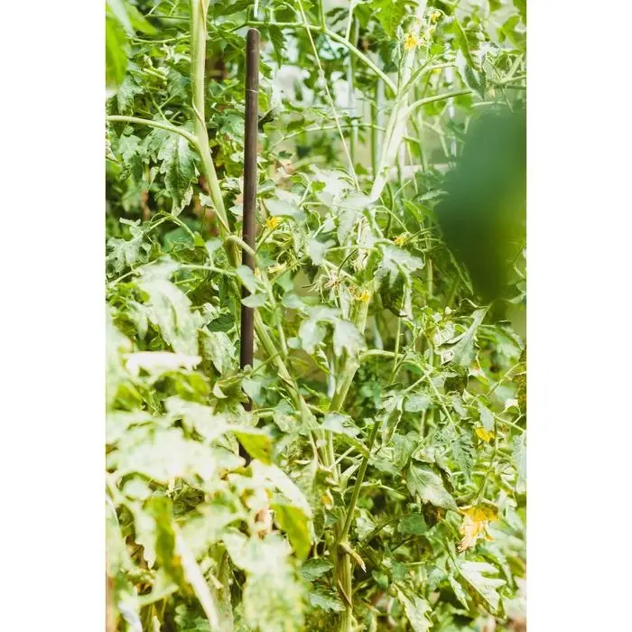 Колышек для подвязки растений, h=120 см, d=1.6 см, пластик Колышек для подвязки растений, h=120 см, d=1.6 см, пластик