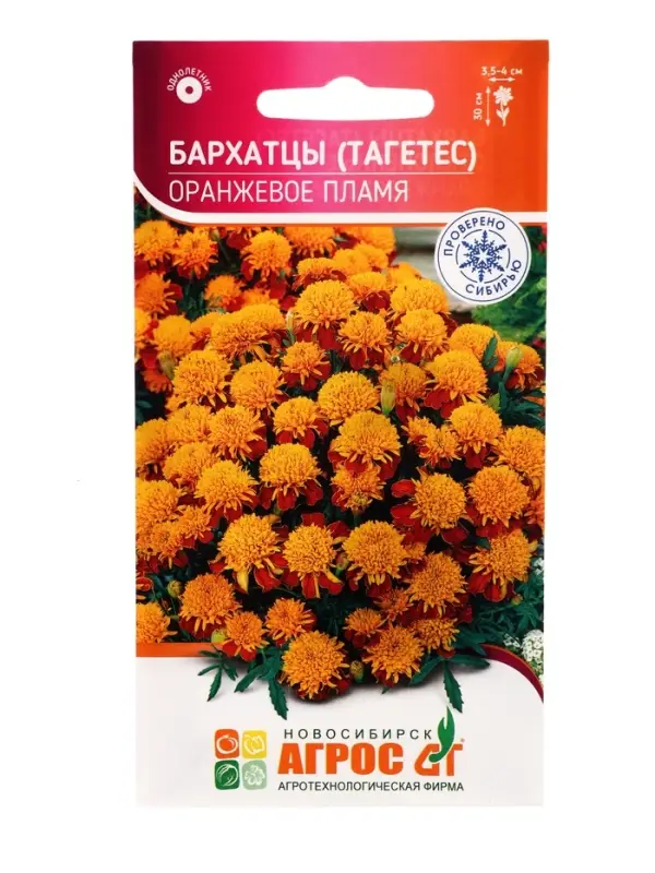 Семена цветов Бархатцы (тагетес) &laquo;Оранжевое пламя&raquo;, 0.3 г, &laquo;Агрос&raquo;