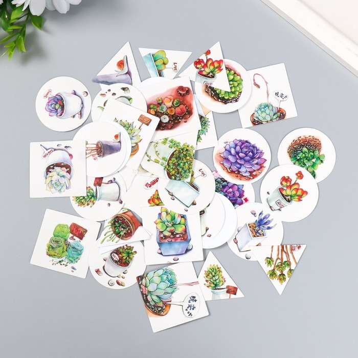 Набор наклеек Набор наклеек "Суккуленты" 40 шт в коробочке 3,8х3,8 см