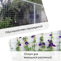 Сетка плетёная с ПВХ покрытием, 10 × 1 м, ячейка 25 × 25 мм, d = 0,9 мм, металл, Greengo