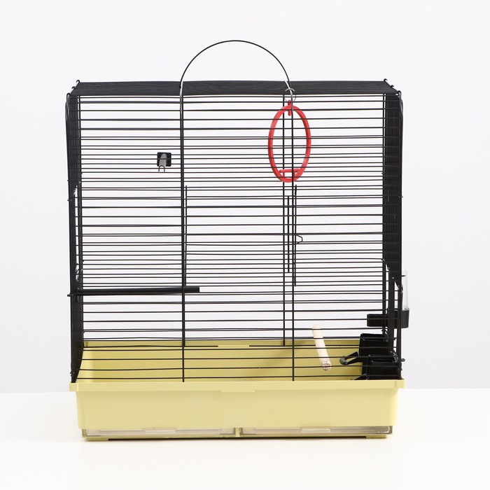 Клетка Клетка "Грация", 3 яруса, 49 х 36 х 51 см, микс цветов