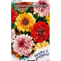 Семена цветов Хризантема Дунетти (махровая) 0,5 г. серия Устойчив к заморозкам!