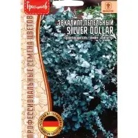 Семена Эвкалипт Silver Dollar пепельный   5шт.  12.29 г.