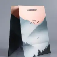 Пакет подарочный "Высота чувств" ламинированный 18 х 22,3 х 10 см