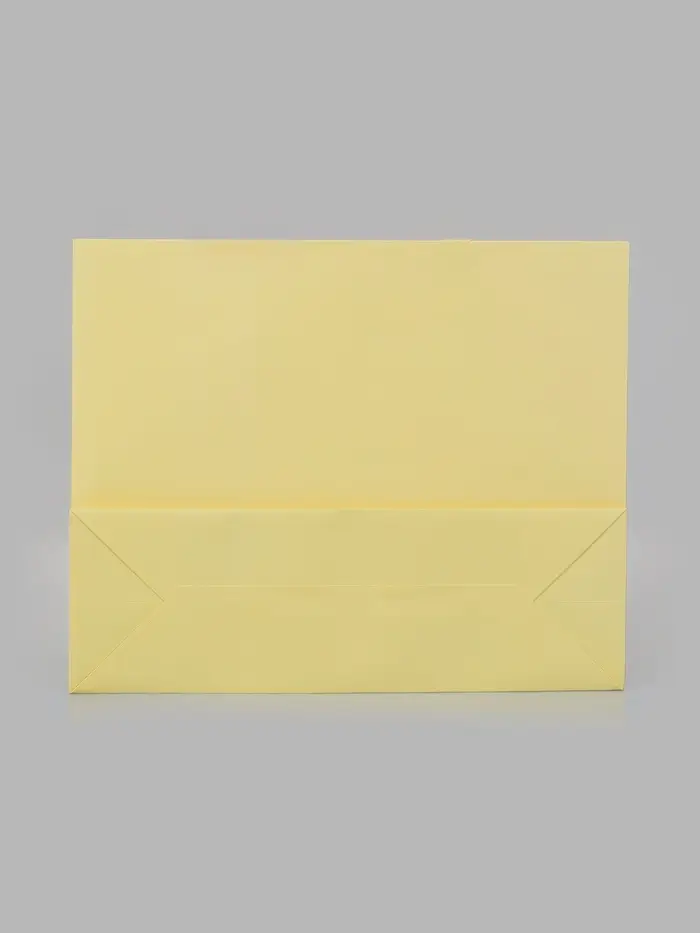 Пакет подарочный, ламинированный, горизонтальный, &laquo;Молочный&raquo;, 48&times;39&times;16 см