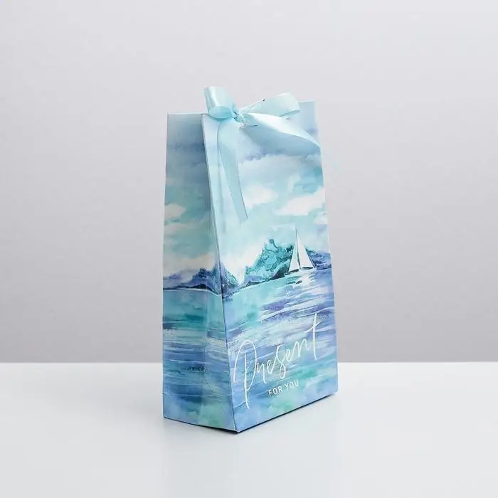 Пакет подарочный с лентой, упаковка, «Present for you», 13 х 23 х 7 см Пакет подарочный с лентой, упаковка, «Present for you», 13 х 23 х 7 см