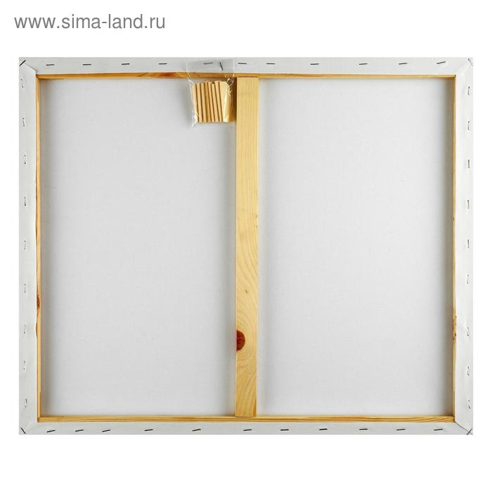 Холст на подрамнике, хлопок 100%, 50 х 60 х 1.8 см, акриловый грунт, мелкозернистый, 280 г/м² Холст на подрамнике, хлопок 100%, 50 х 60 х 1.8 см, акриловый грунт, мелкозернистый, 280 г/м²