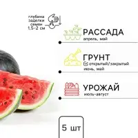 Семена Арбуз &laquo;Чарльстон Грей&raquo;, 5 шт., &laquo;Сибирский сад&raquo;
